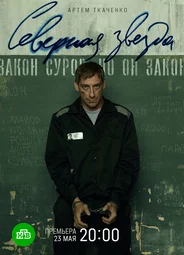 Северная звезда