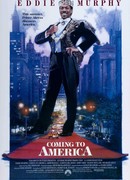 Поездка в Америку