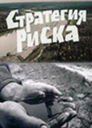 Стратегия риска