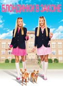 Блондинки в законе