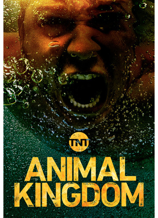 кино По волчьим законам (Animal Kingdom) 23.07.22