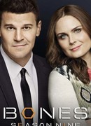 Кости сезон 9