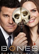 Кости сезон 12