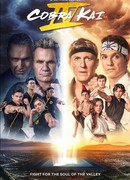 Кобра Кай сезон 4