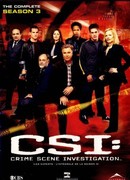 C.S.I. Место преступления сезон 3