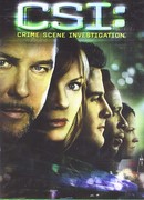 C.S.I. Место преступления сезон 6