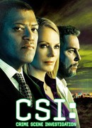 C.S.I. Место преступления сезон 9