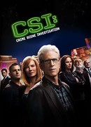 C.S.I. Место преступления сезон 12