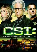 C.S.I. Место преступления сезон 13