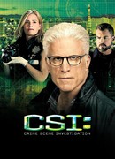 C.S.I. Место преступления сезон 15