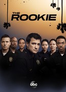 Новобранец сезон 3