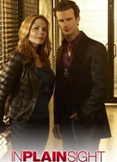 В простом виде сезон 1