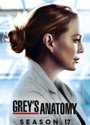 Анатомия страсти сезон 17