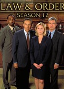 Закон и порядок сезон 12