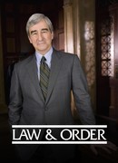 Закон и порядок сезон 15