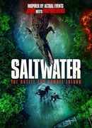 Солёные воды: Операция «Матадор»