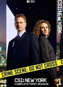 C.S.I.: Место преступления Нью-Йорк сезон 1