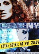 C.S.I.: Место преступления Нью-Йорк сезон 3