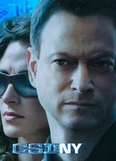 C.S.I.: Место преступления Нью-Йорк сезон 4