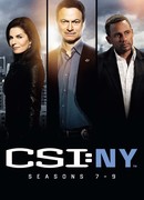 C.S.I.: Место преступления Нью-Йорк сезон 7