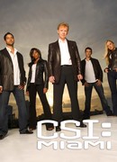 C.S.I.: Место преступления Майами сезон 4