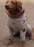 Космо