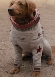 Космо