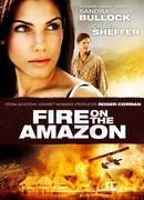 Амазонка в огне