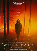 Волчья стая сезон 1