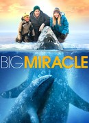 Все любят китов