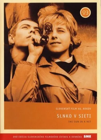 Солнце в сети