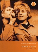 Солнце в сети