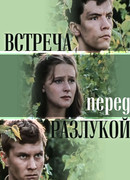 Встреча перед разлукой