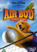 Король воздуха: Возвращение