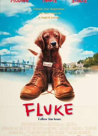 Флюк