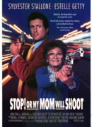 Стой! Или моя мама будет стрелять