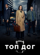 Топ дог сезон 2