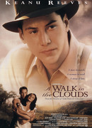 Прогулка в облаках