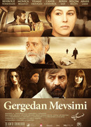 Сезон носорогов