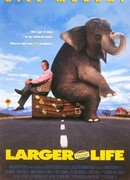 Больше чем жизнь