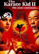 Парень-каратист 2