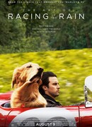 Невероятный мир глазами Энцо