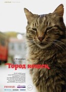 Город кошек
