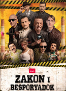 Закон и беспорядок