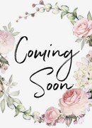 Путешественники