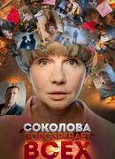 Соколова подозревает всех сезон 1