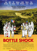 Шоковый эффект