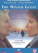 Зимний гость