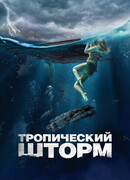 Тропический шторм
