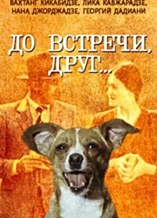До встречи, друг